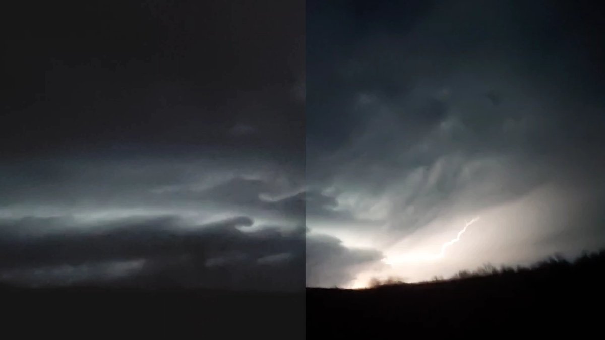 Peter Corman tweet media