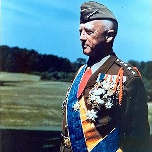 The Bull Moose Project tweet media