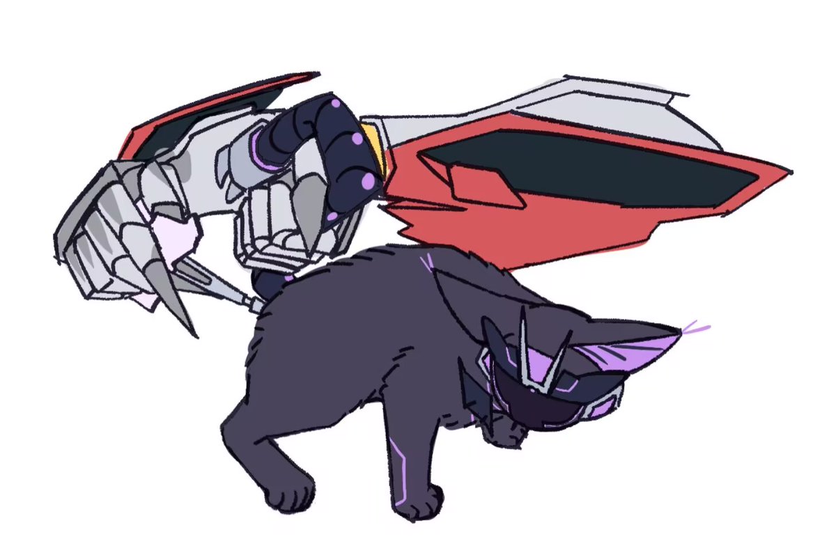 ロハロハplum tweet media