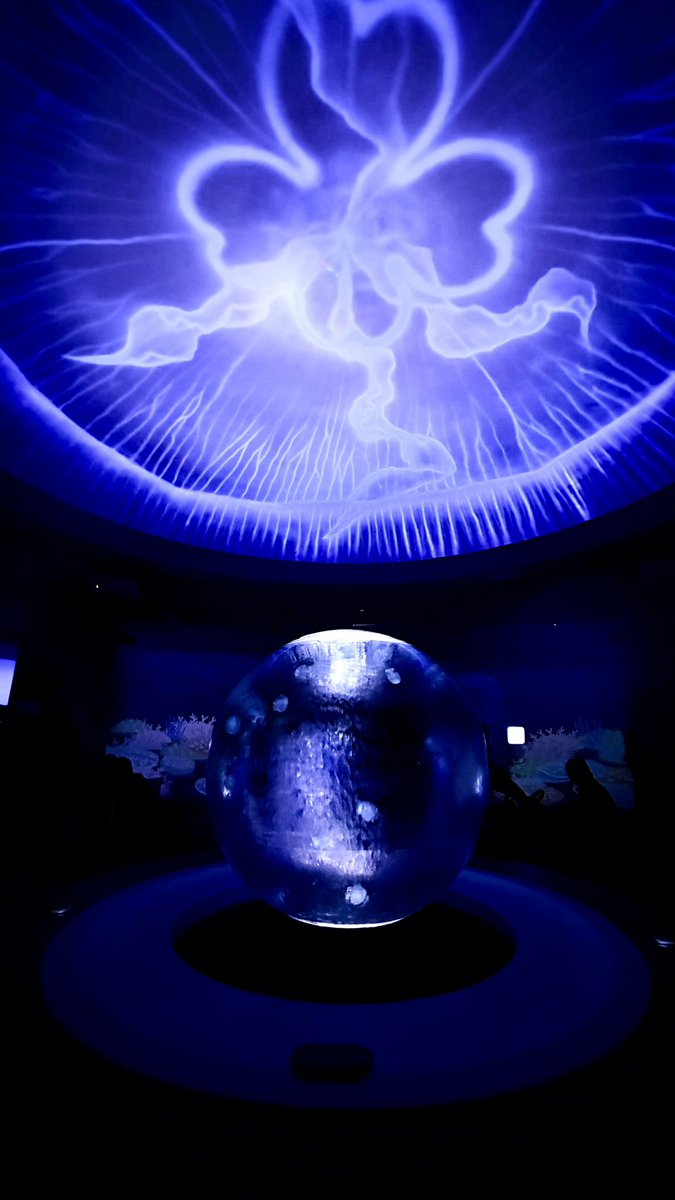 Eiriたん tweet media