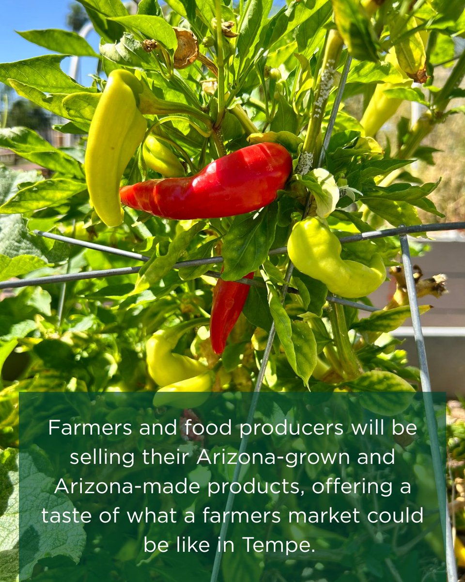 City of Tempe, AZ tweet media