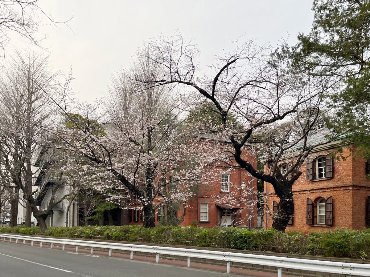 はむぞう tweet media