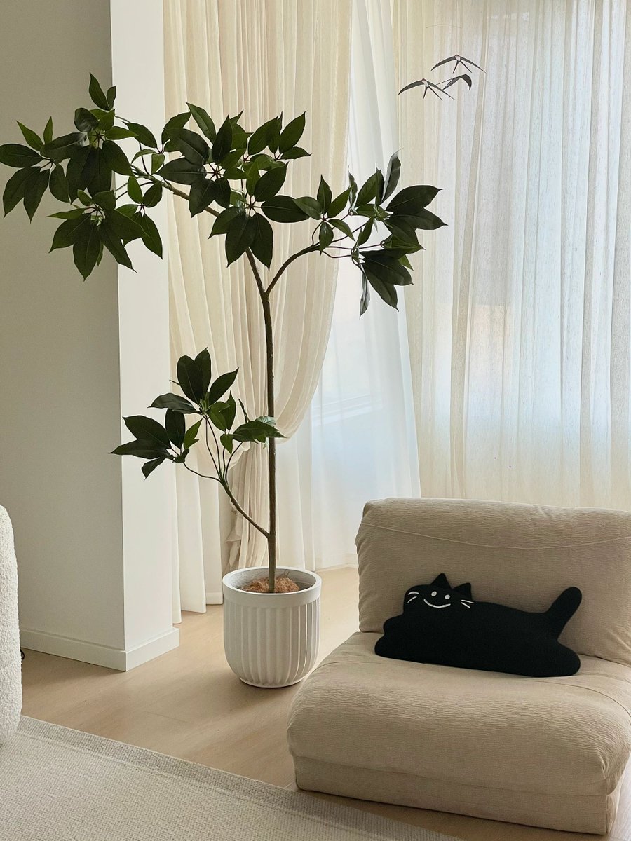 Theodore Meiggs tweet media