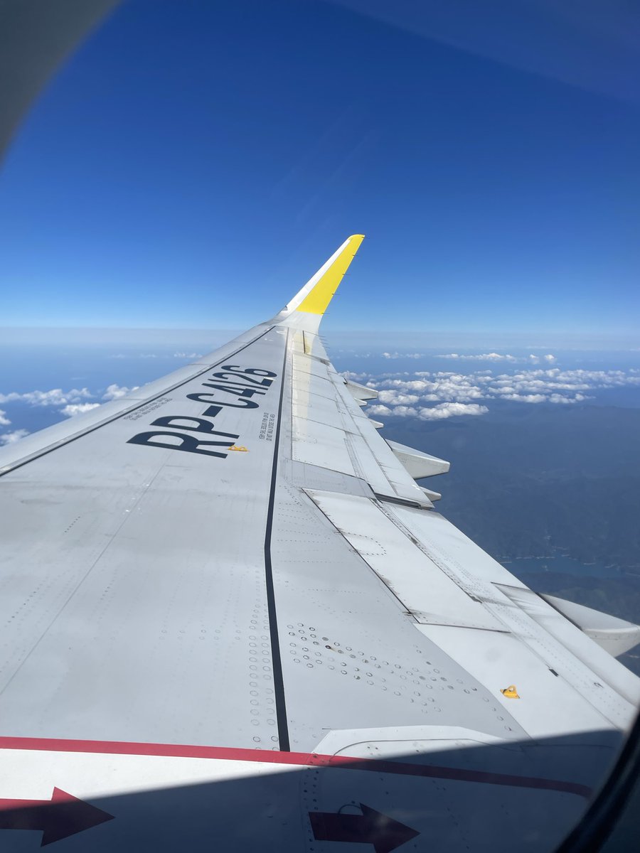 B. Alejandro tweet media