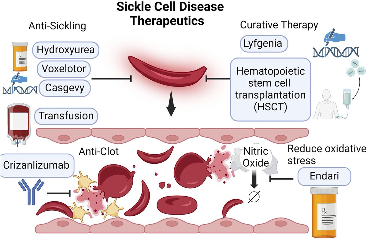 𝙶𝚛𝚎𝚍𝚊 𓅓 tweet media