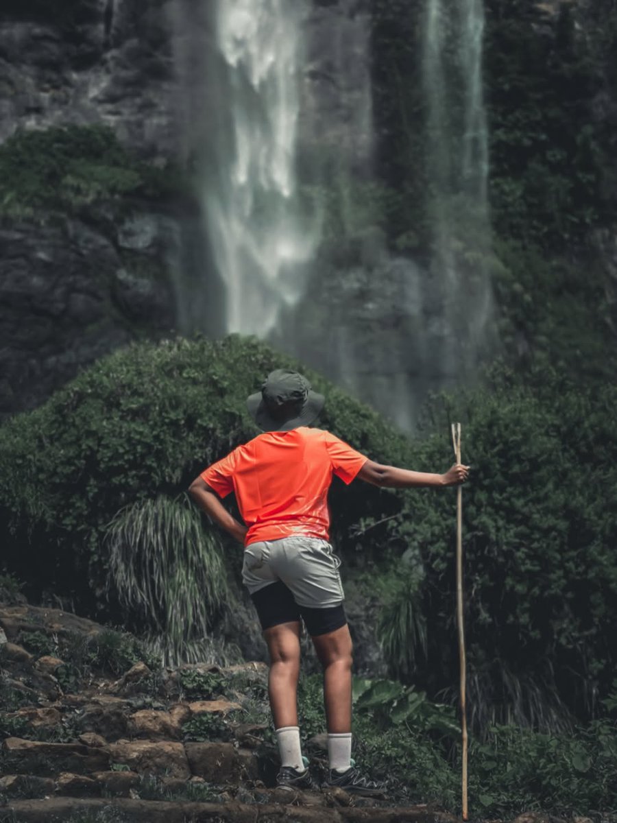 Travel with Don Brilliant tweet media