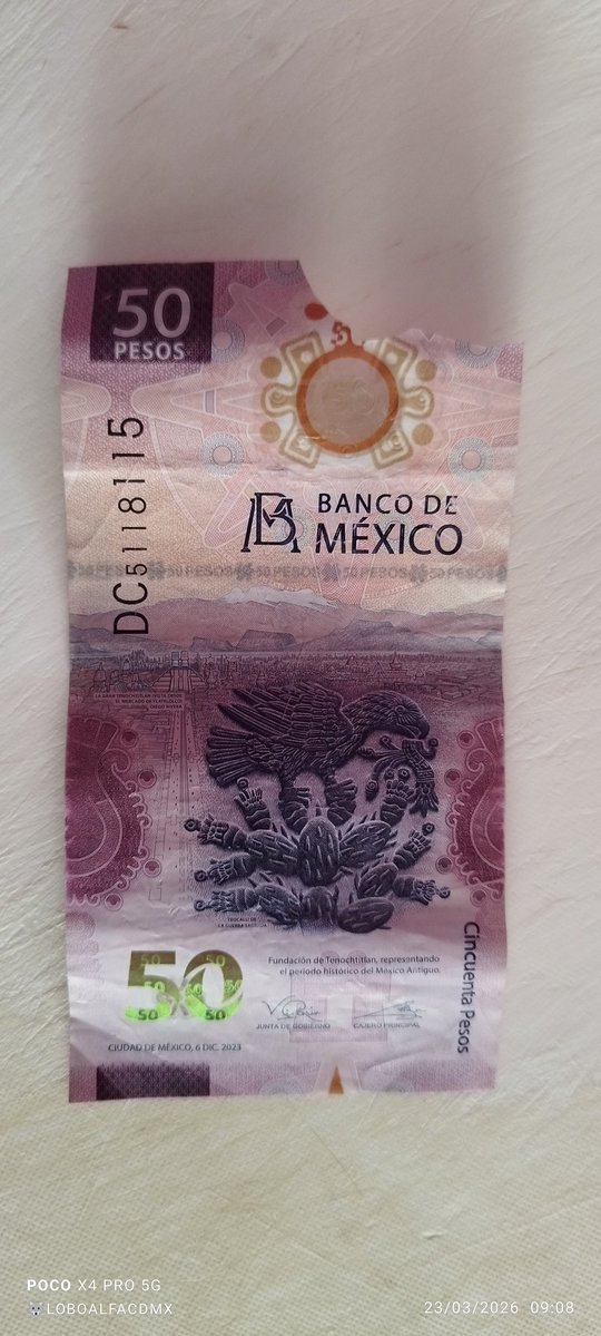 Lobo Alfa CDMX tweet media