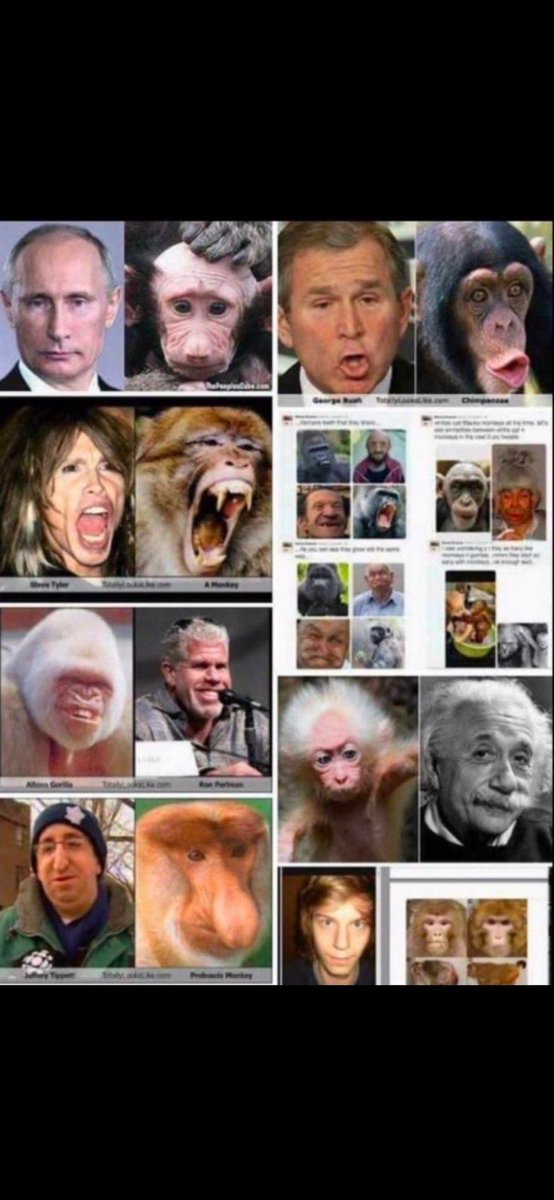 Bumpy Johnson tweet media