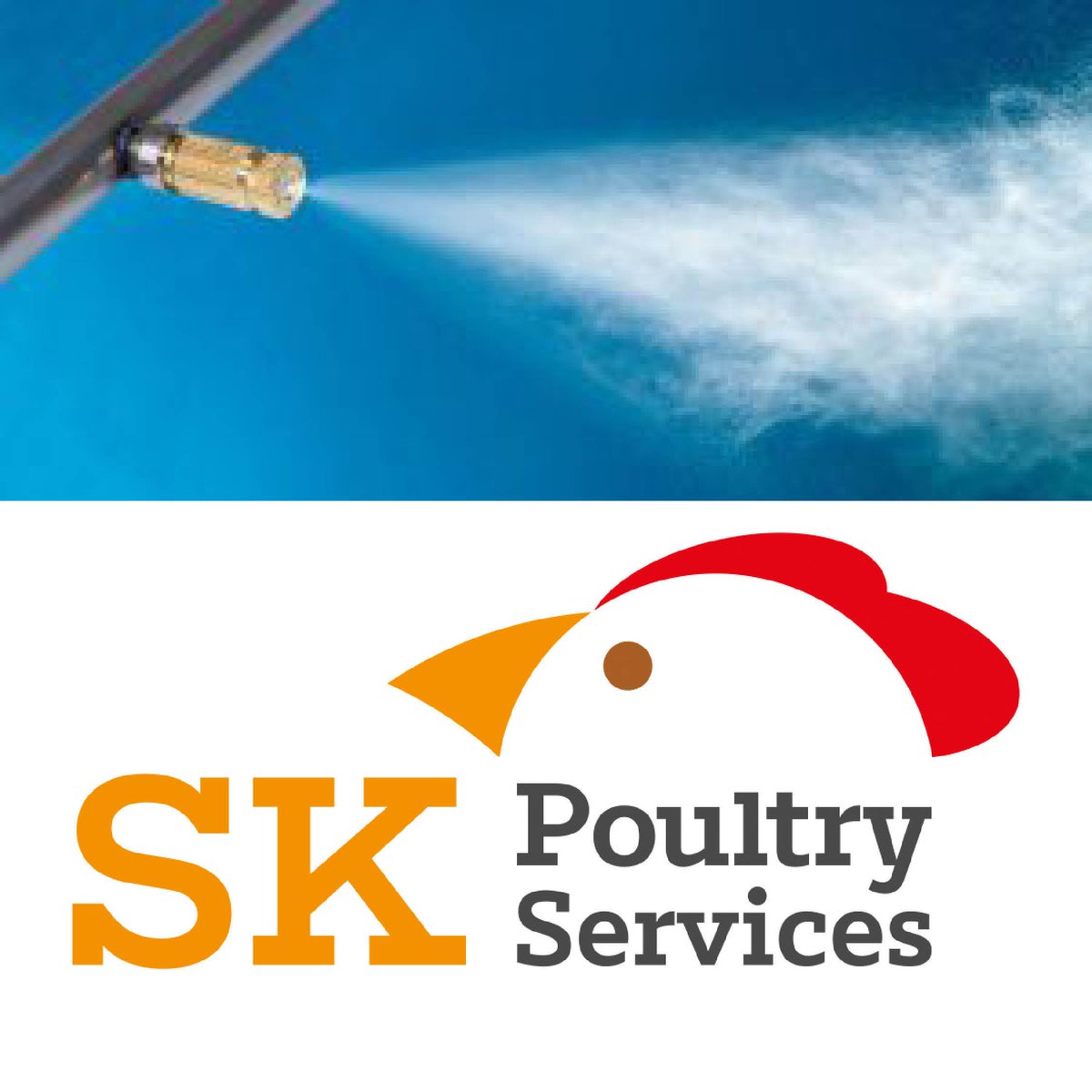 Poultry.Network tweet media