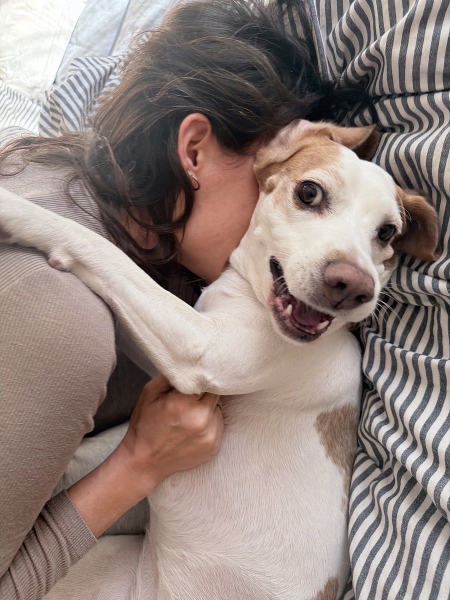 Neslihan tweet media