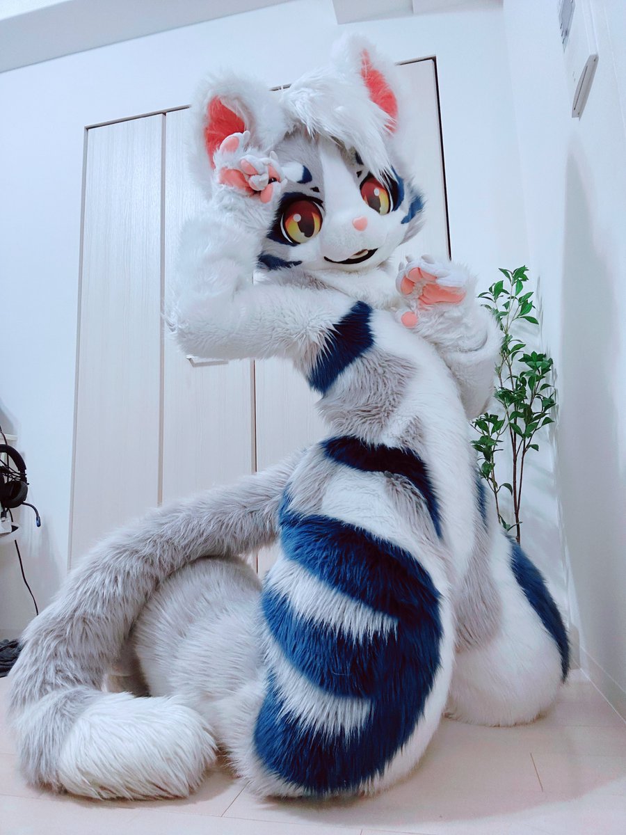 初（Hatsu） tweet media