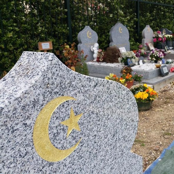 SIRÈNES tweet media