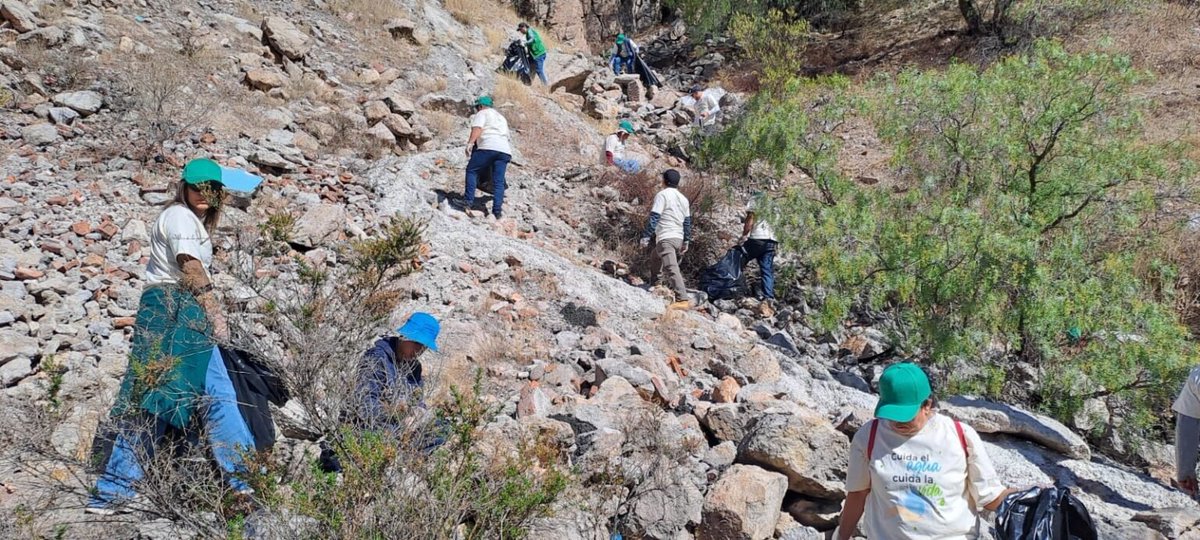 Palestra tweet media