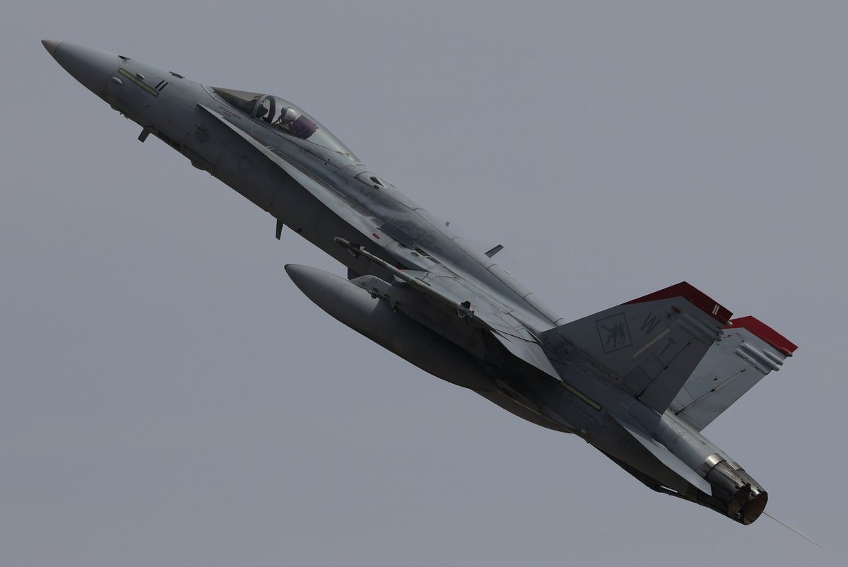 トモハナ tweet media