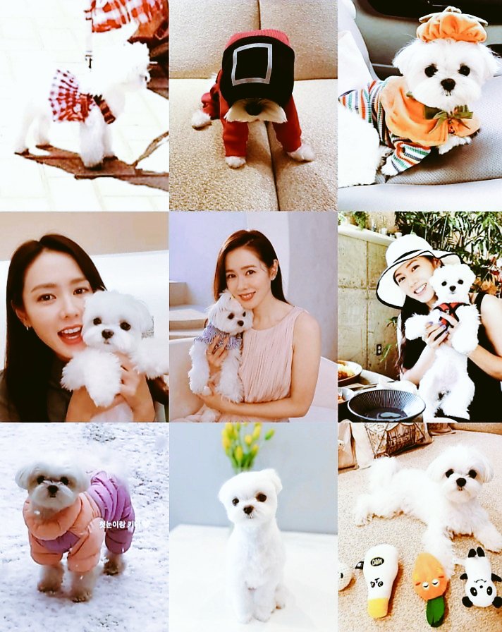 yet 🍓 tweet media