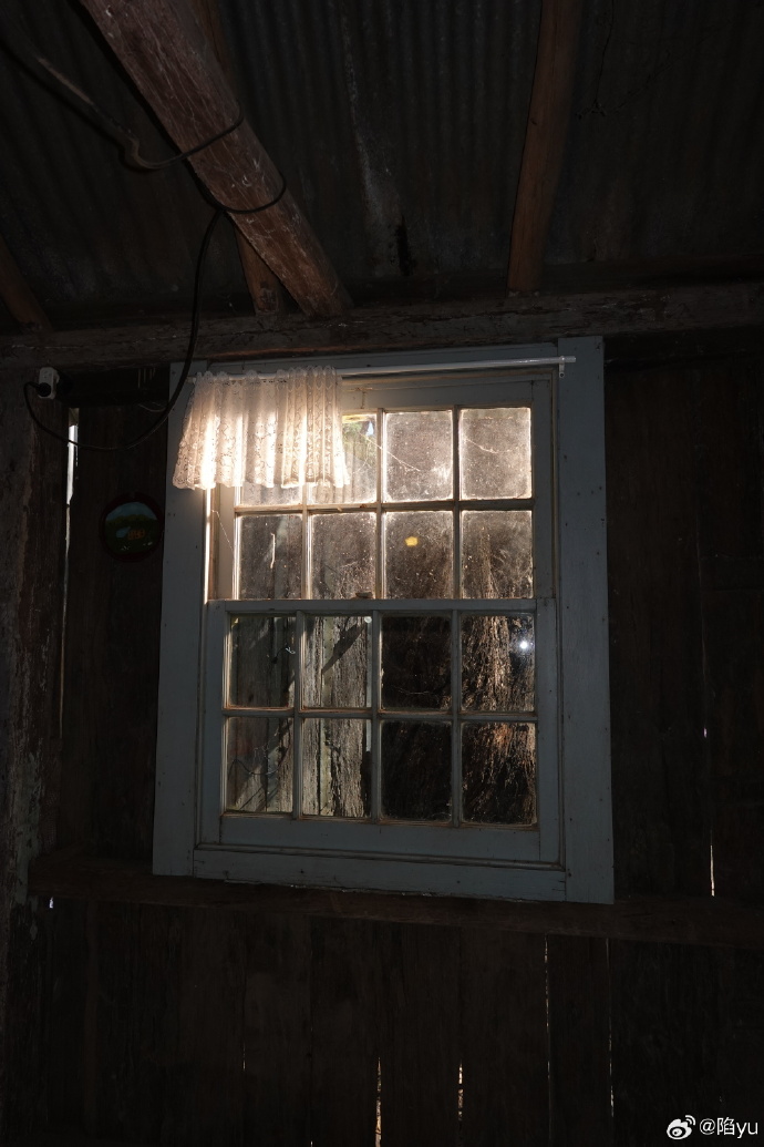 sabrina ellieroth tweet media