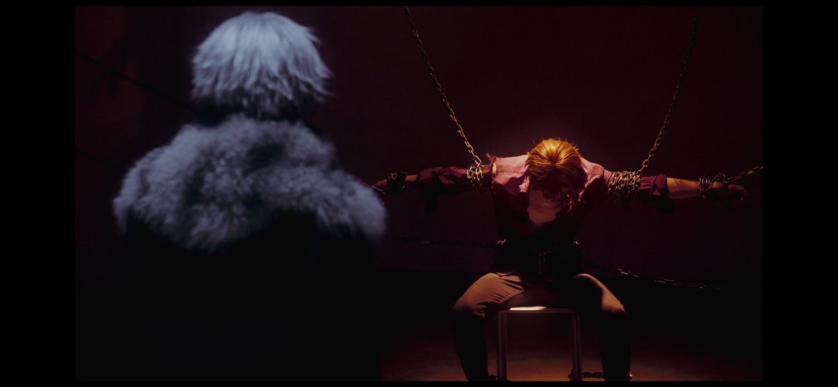 vix | SIGMA DESPIERTA PORFA tweet media