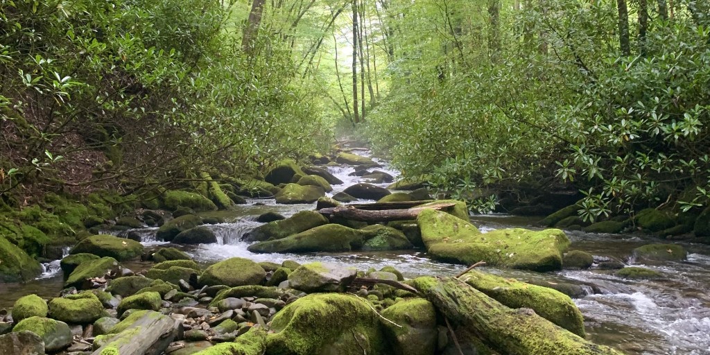 U.S. Fish and Wildlife Service tweet media