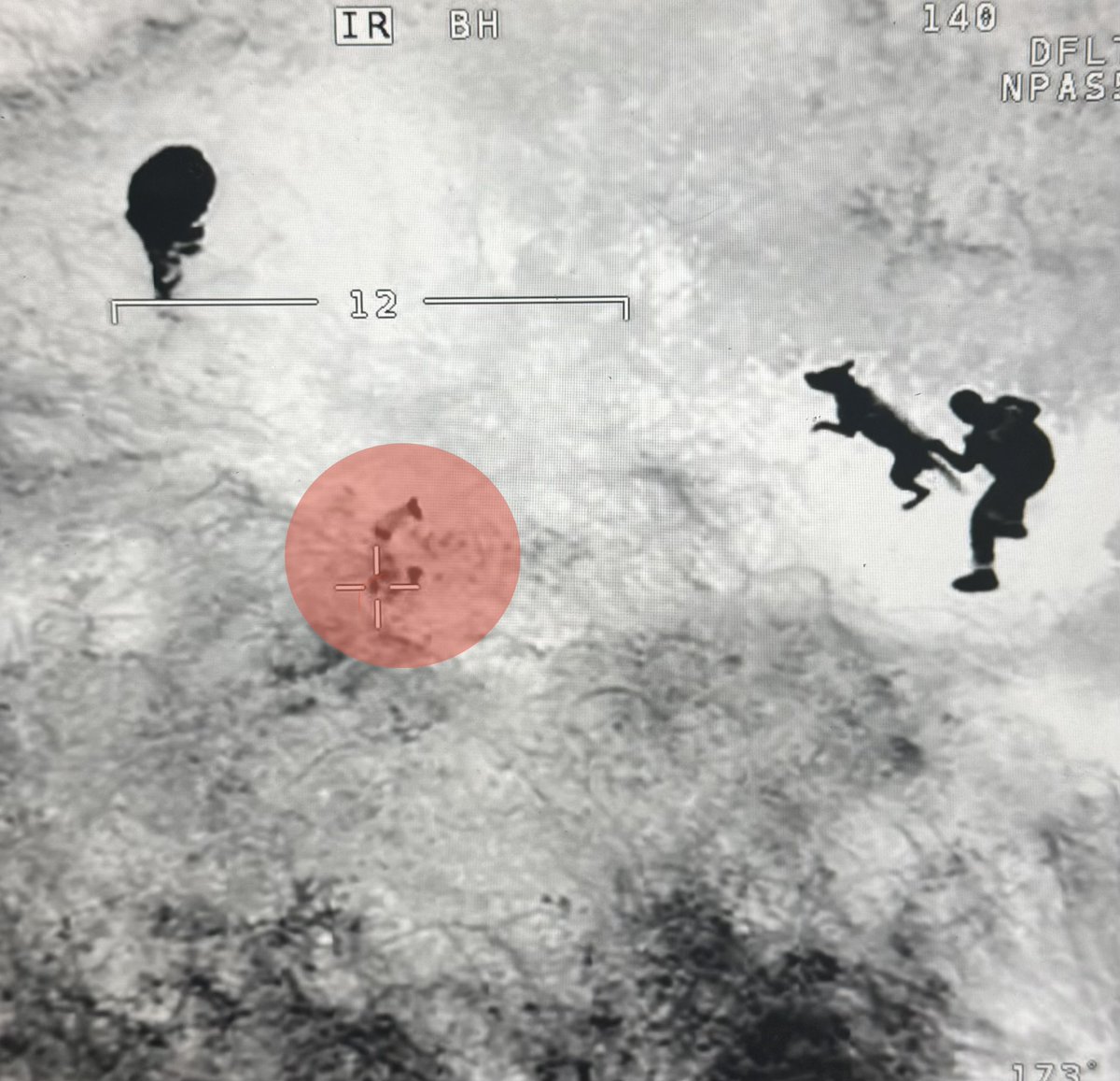 WMP Traffic tweet media