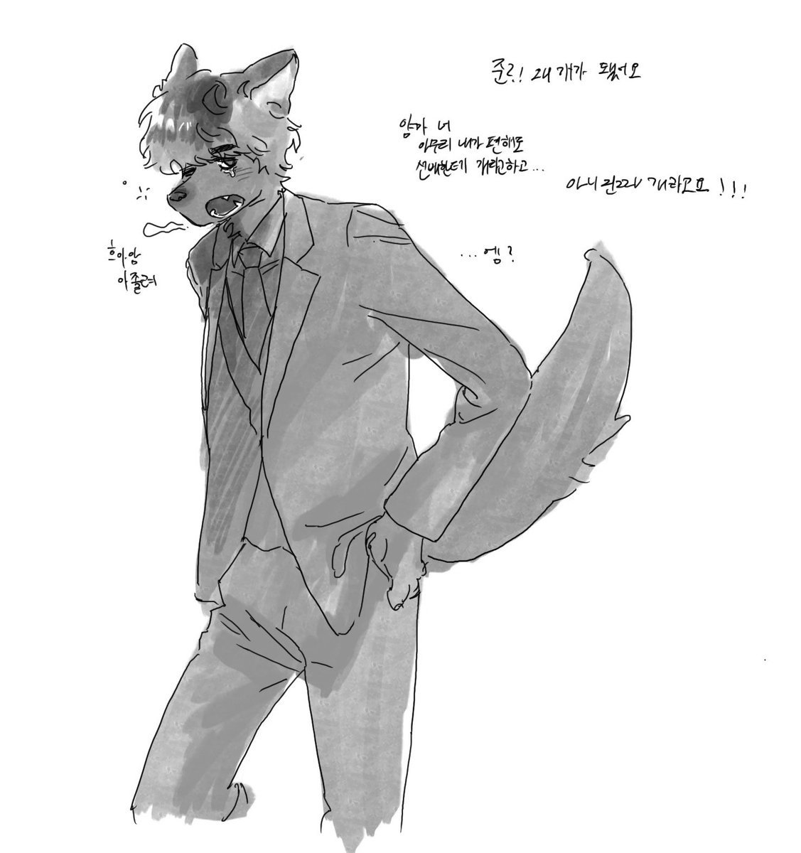 너구리 tweet media