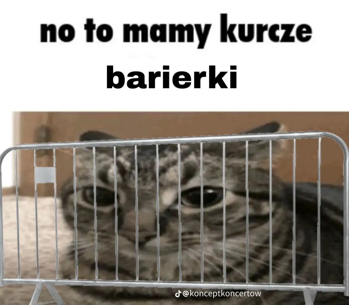 julia ♡ tweet media