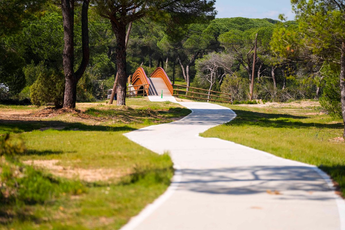 Consejería de Sostenibilidad y Medio Ambiente tweet media