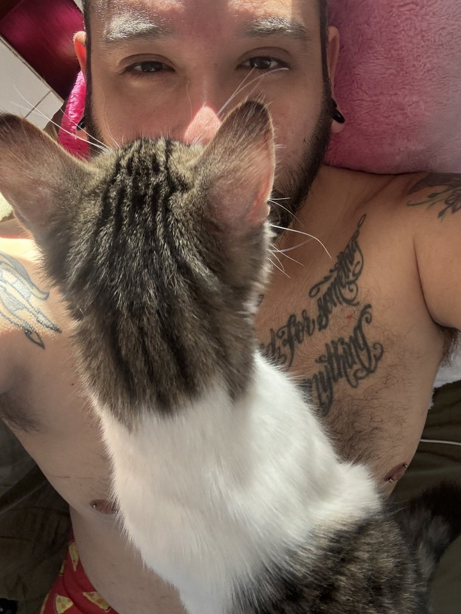 ReimerBS1986's tweet photo. •Cat Photo Bombing...• https://t.co/CFEoBggTLU