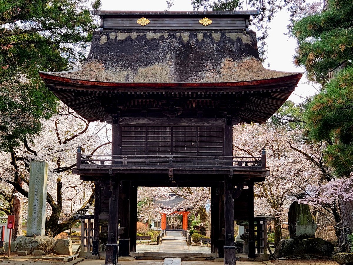 大菩薩唐松尾根 tweet media