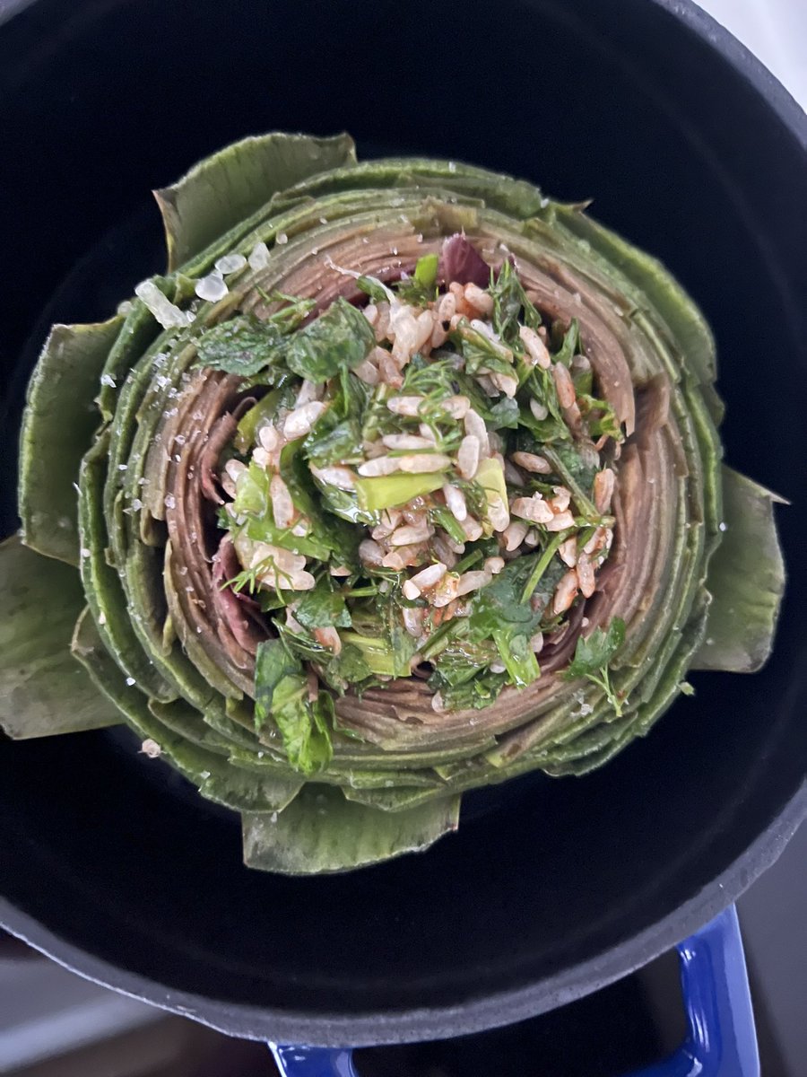 Ilknur Akpinar tweet media