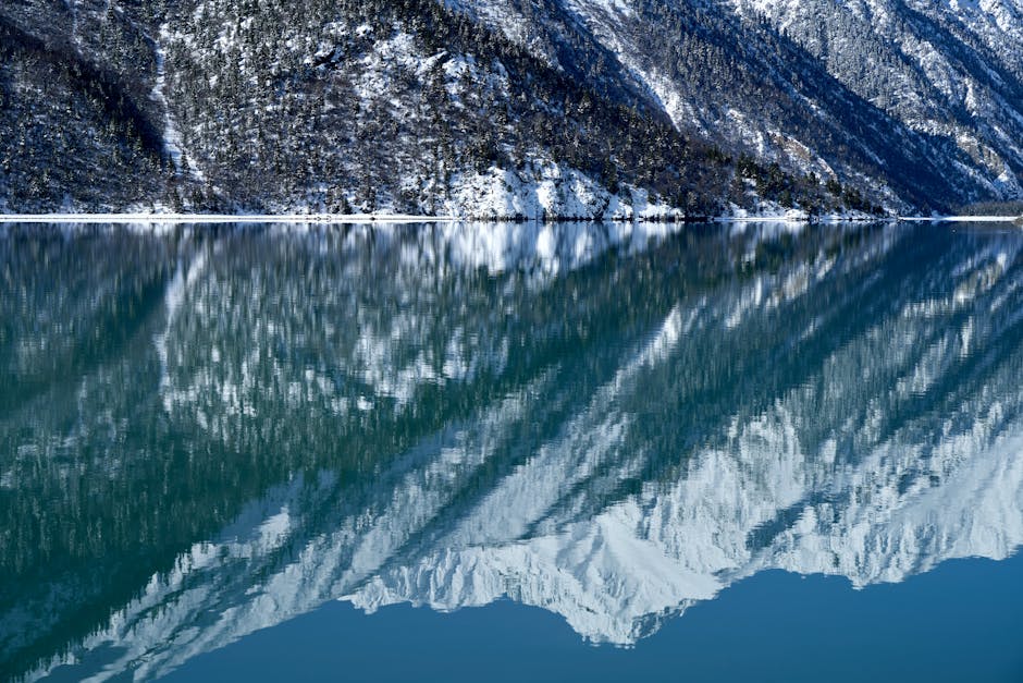 ไอซ์ สาวสอง tweet media