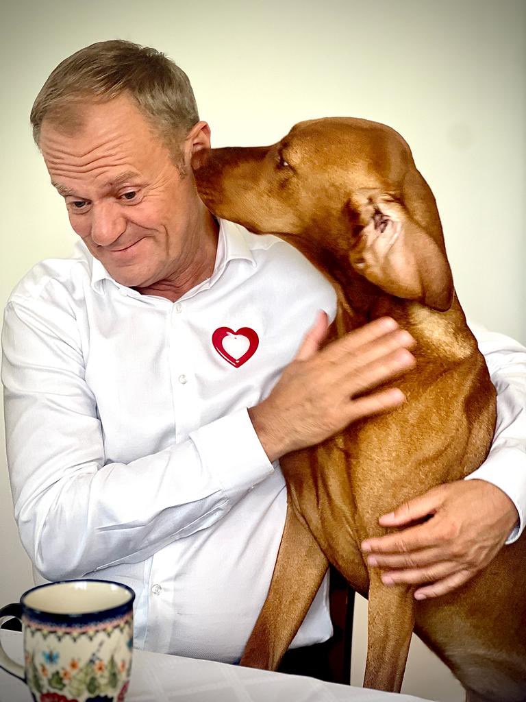 Paweł Senkowski 🇵🇱 tweet media