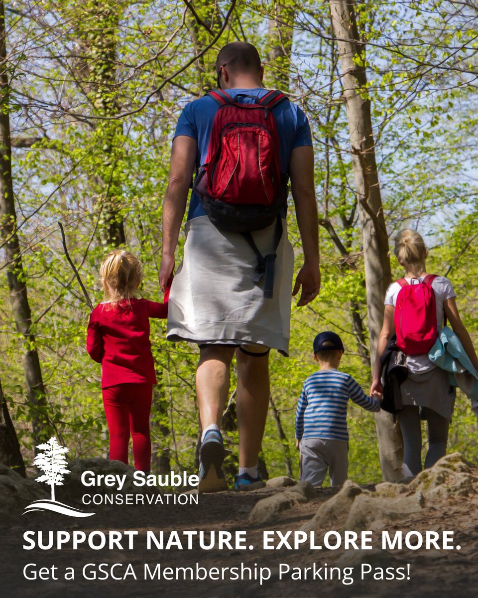 Grey Sauble CA tweet media