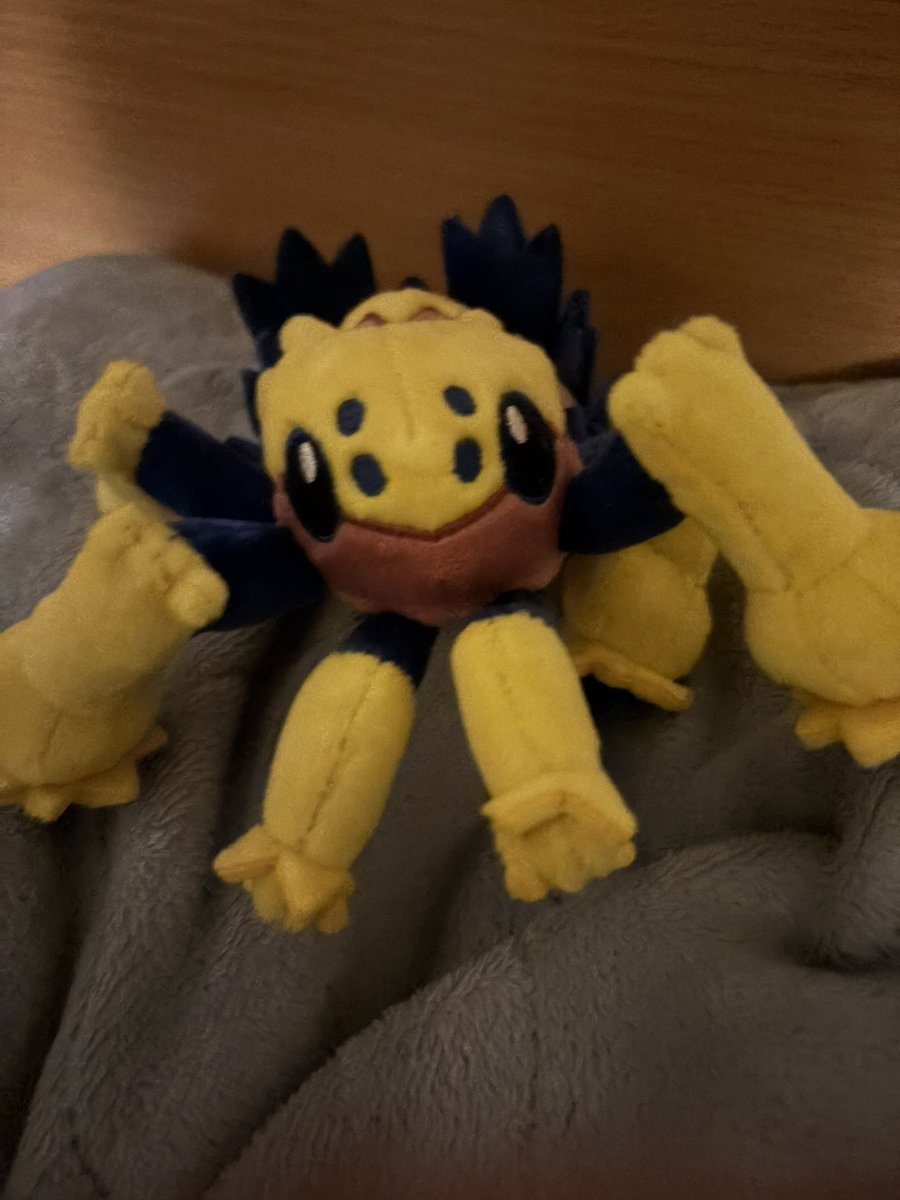 ニシェートラ tweet media