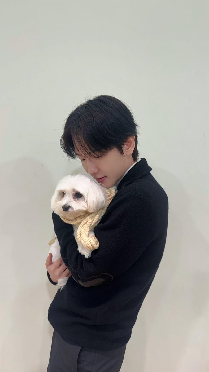 Ling Ling tweet media