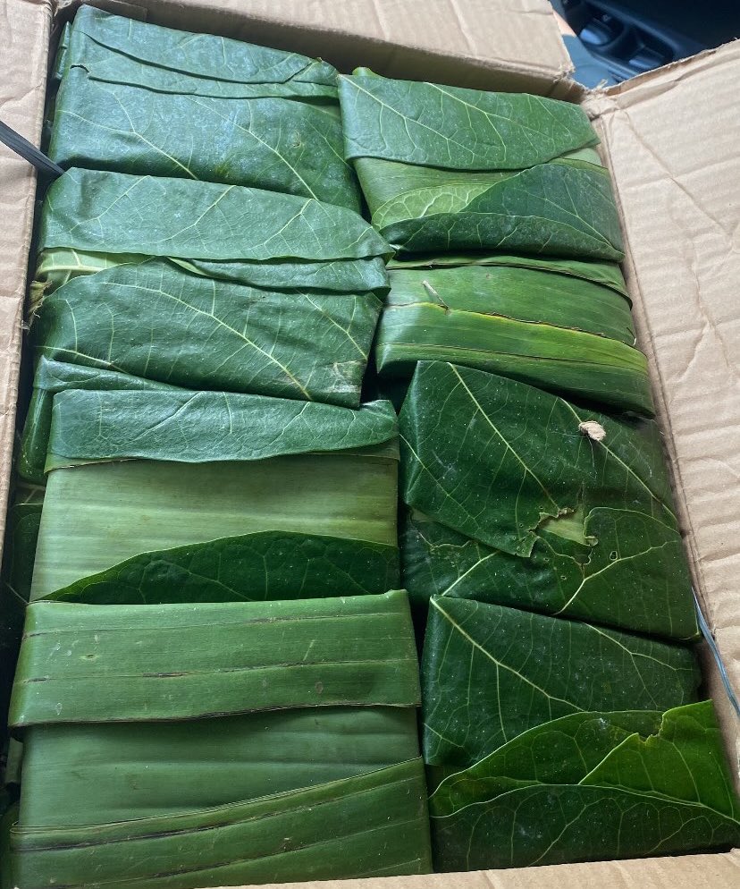 yang mulia tweet media