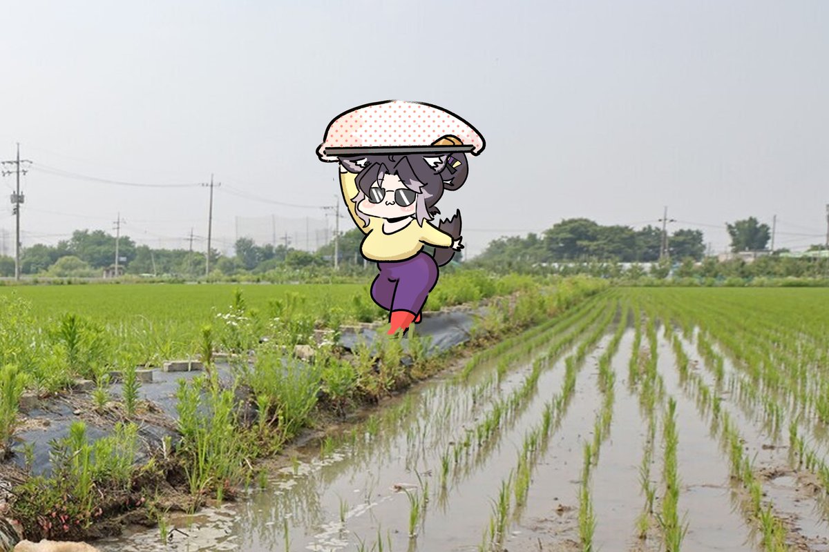 민찌 (Minchi) tweet media