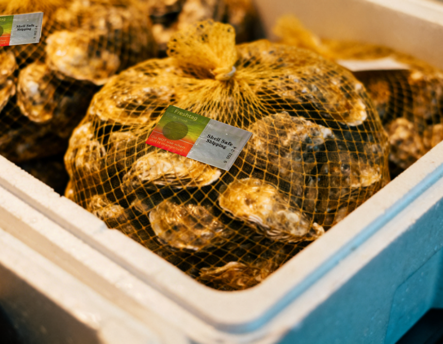 Jeff Desrosiers tweet media