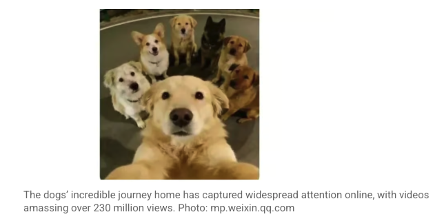 LiveLaughLove tweet media