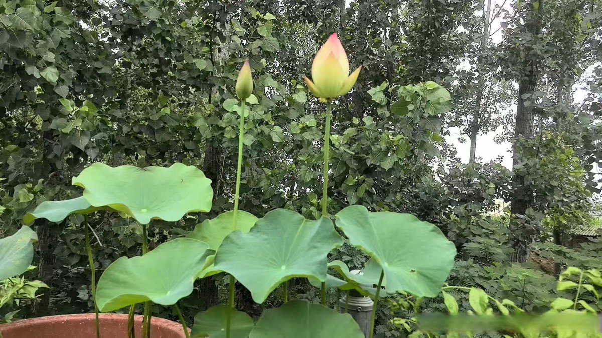 Marine Feni  tweet media