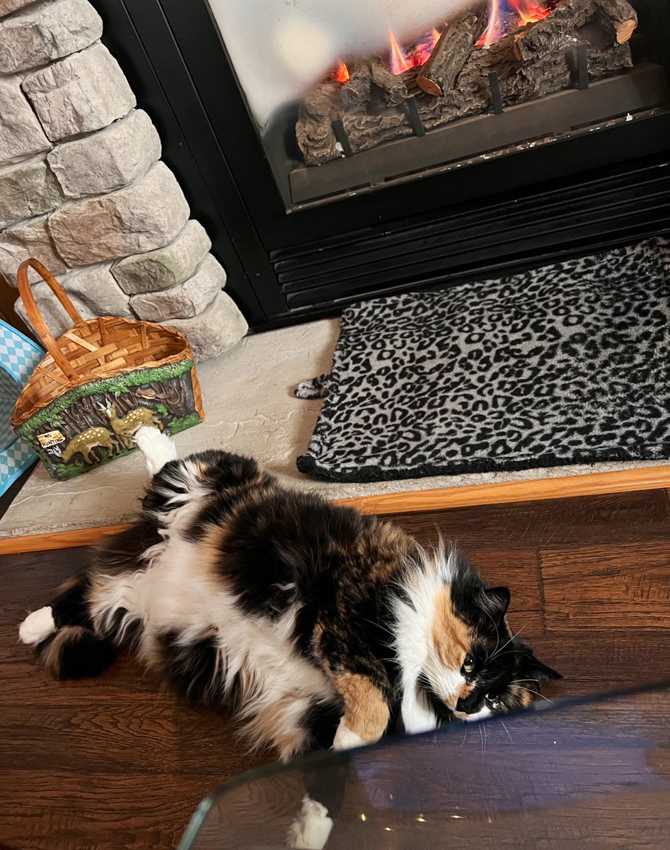 💖✨🌈Sadie Lynn 🪽✨💖 tweet media