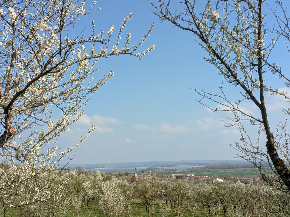 Benoit BRAIBANT tweet media