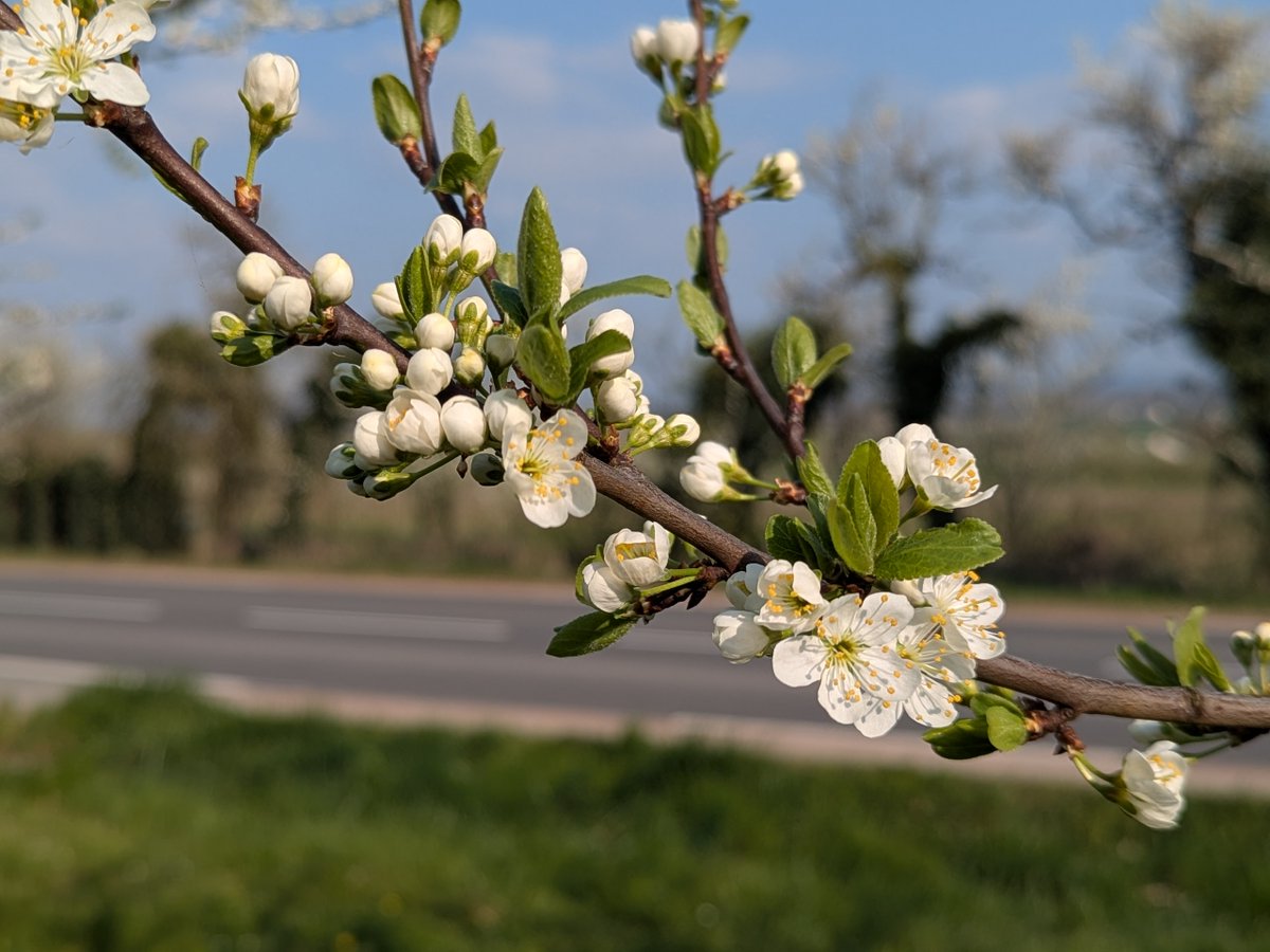 Benoit BRAIBANT tweet media