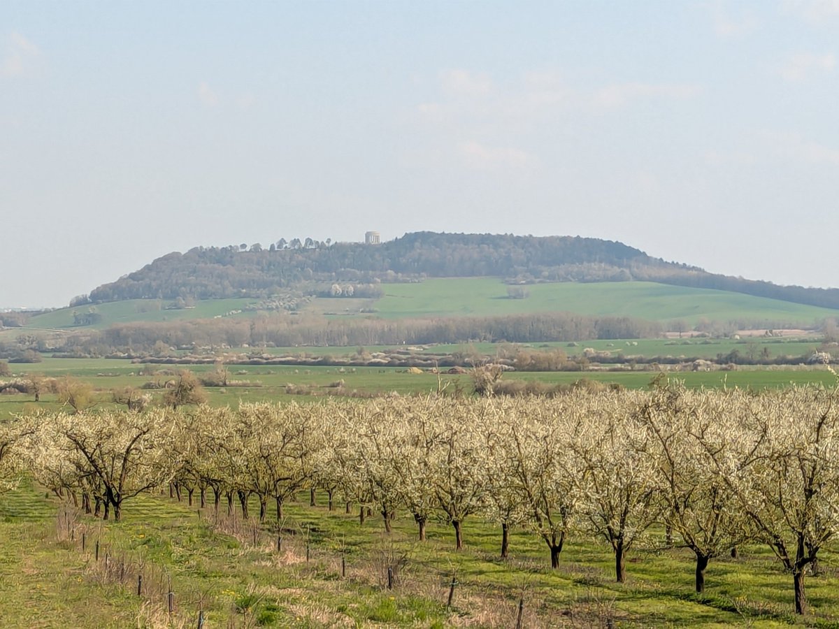 Benoit BRAIBANT tweet media