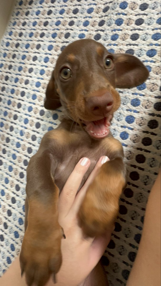 Julia⁷ 🪭 tweet media