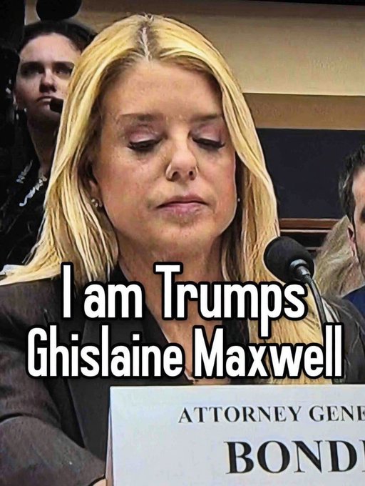 Renee🌊 tweet media