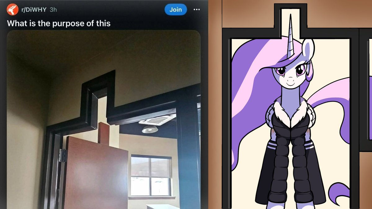 THE_USER tweet media