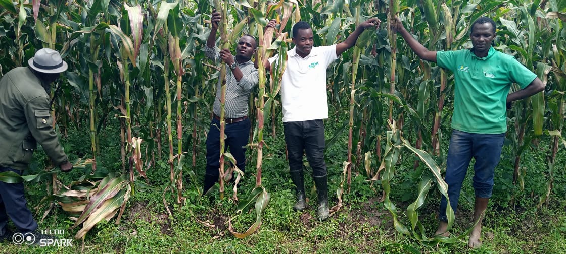 Mu nama yahuje Nyakubahwa Perezida wa Repubulika <a href="/PaulKagame/">Paul Kagame</a>, Abayobozi mu nzego z'ibanze no ku rwego rw'Igihugu hashimwe uruhare rwa <a href="/NyaruguruDistr/">Nyaruguru District</a> ku cyayi  cyoherezwa mu mahanga(20%) n'umusaruro w'ibirayi( 29t/ha). Hasabwe gukomeza kuzamura umusaruro w'ibihingwa ngandurarugo.