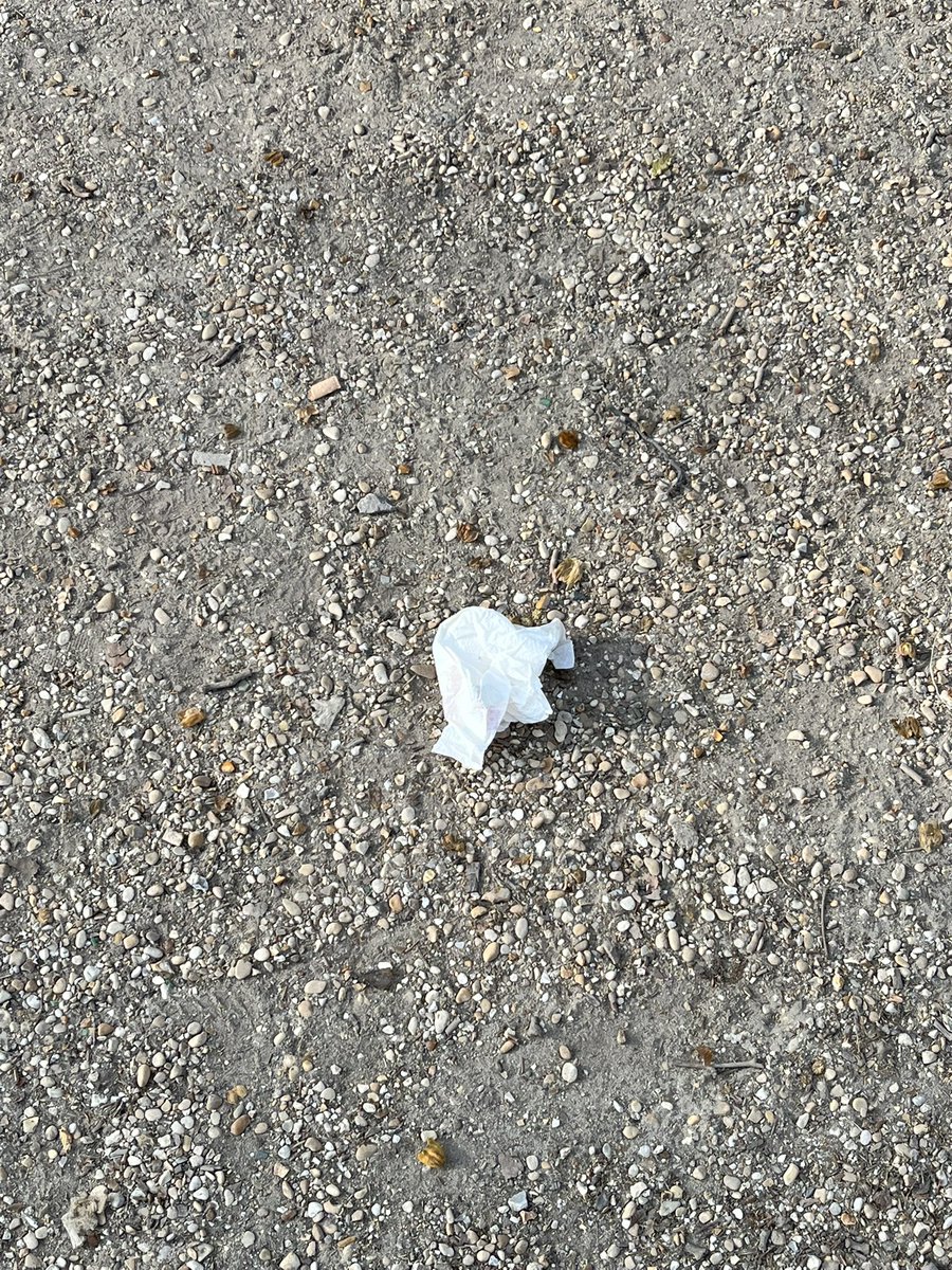 German Swinger tweet media