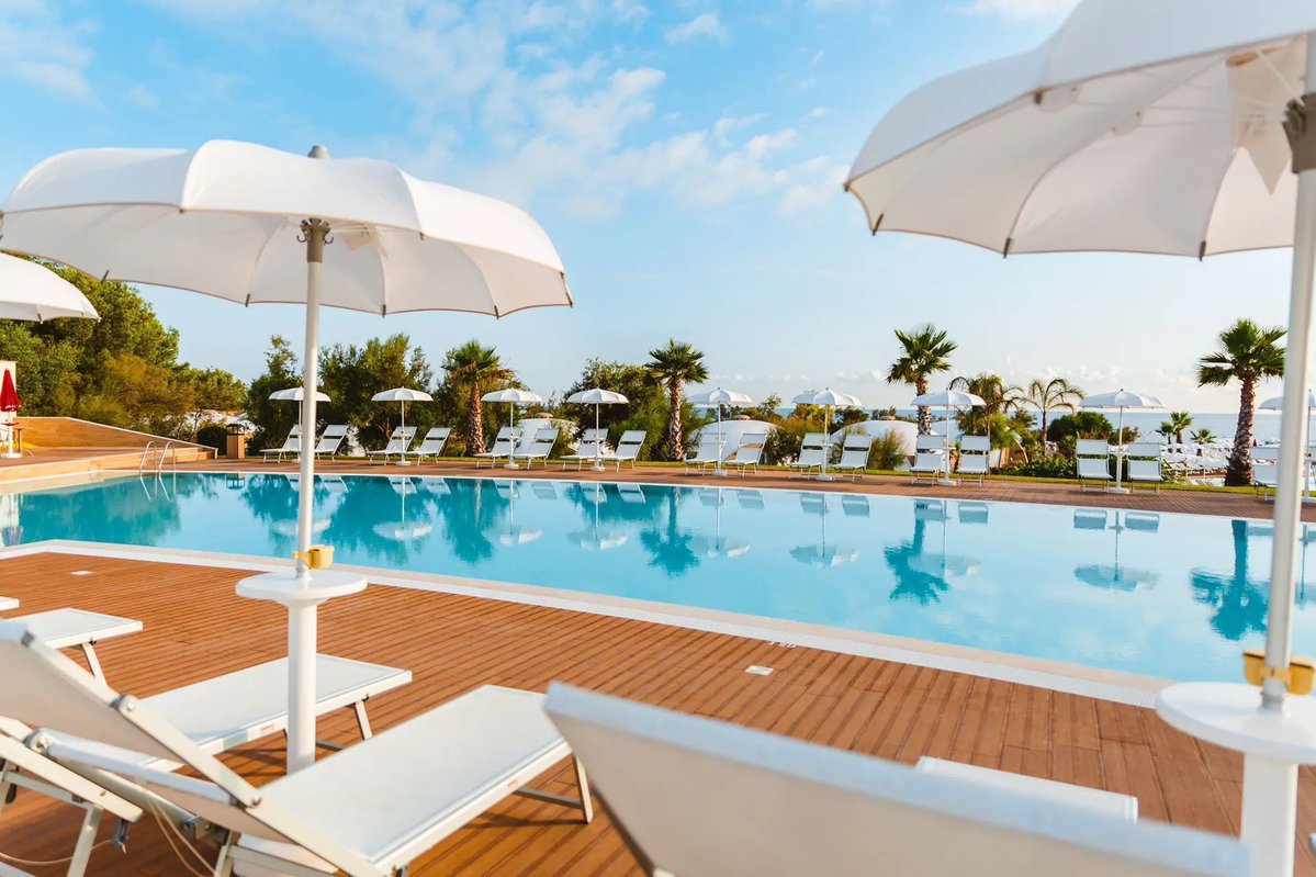 DutchFlyGuys tweet media