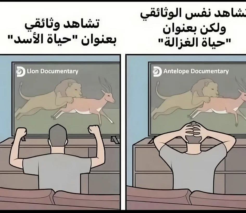 المليوني زعزع ‎#AiShow_1M 🇸🇦 tweet media